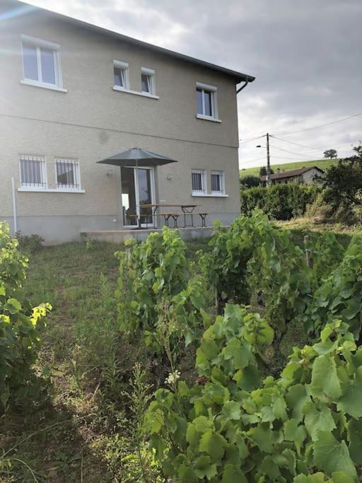Petit Gite De Javernieres Rez De Jardin Villié-Morgon Buitenkant foto